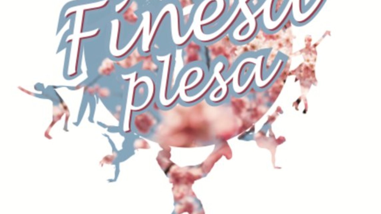 Finesa plesa