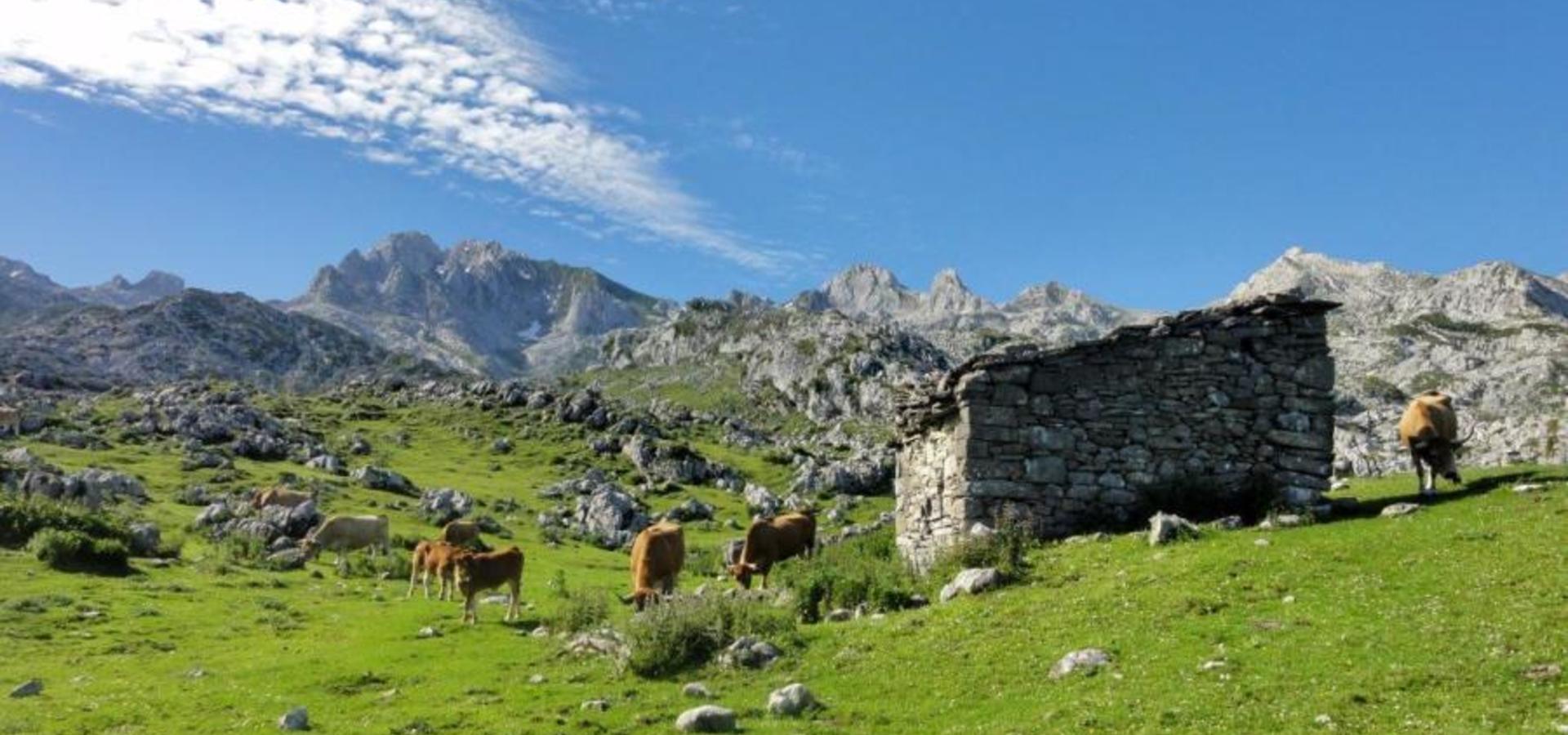 Alpinistični odsek Kamnik: Picos de Europa, alpinistično predavanje