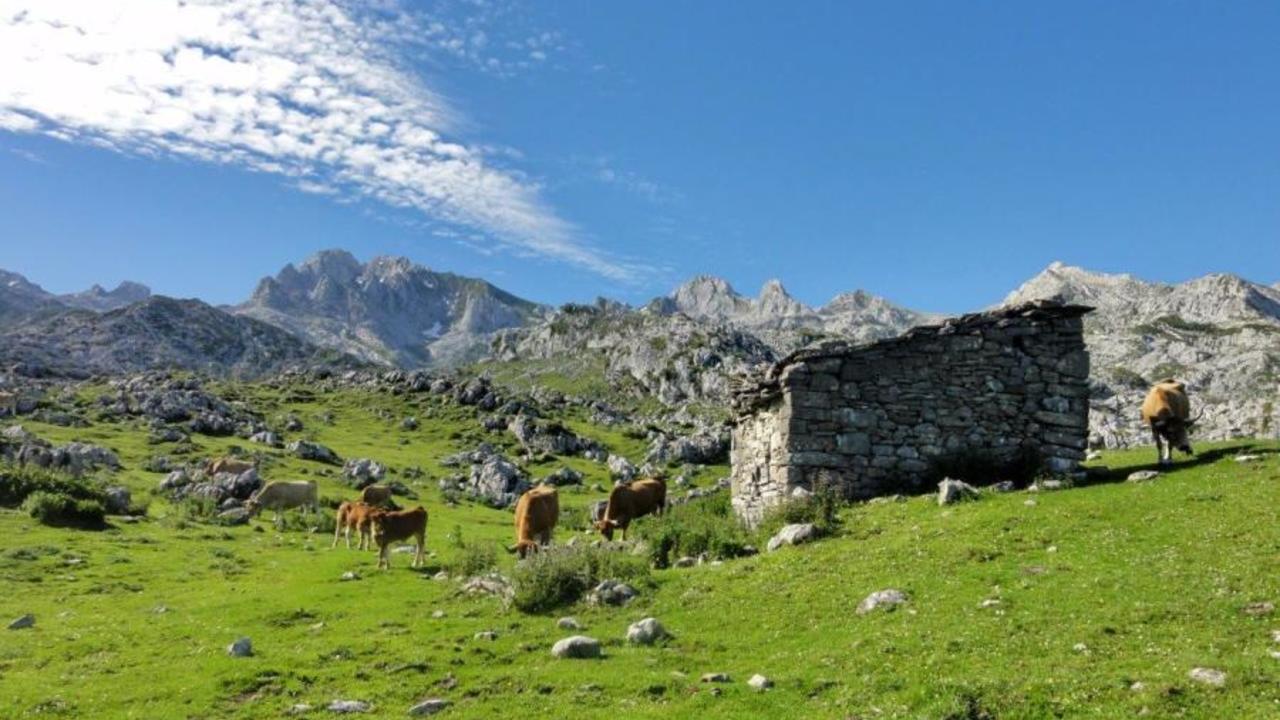 Alpinistični odsek Kamnik: Picos de Europa, alpinistično predavanje