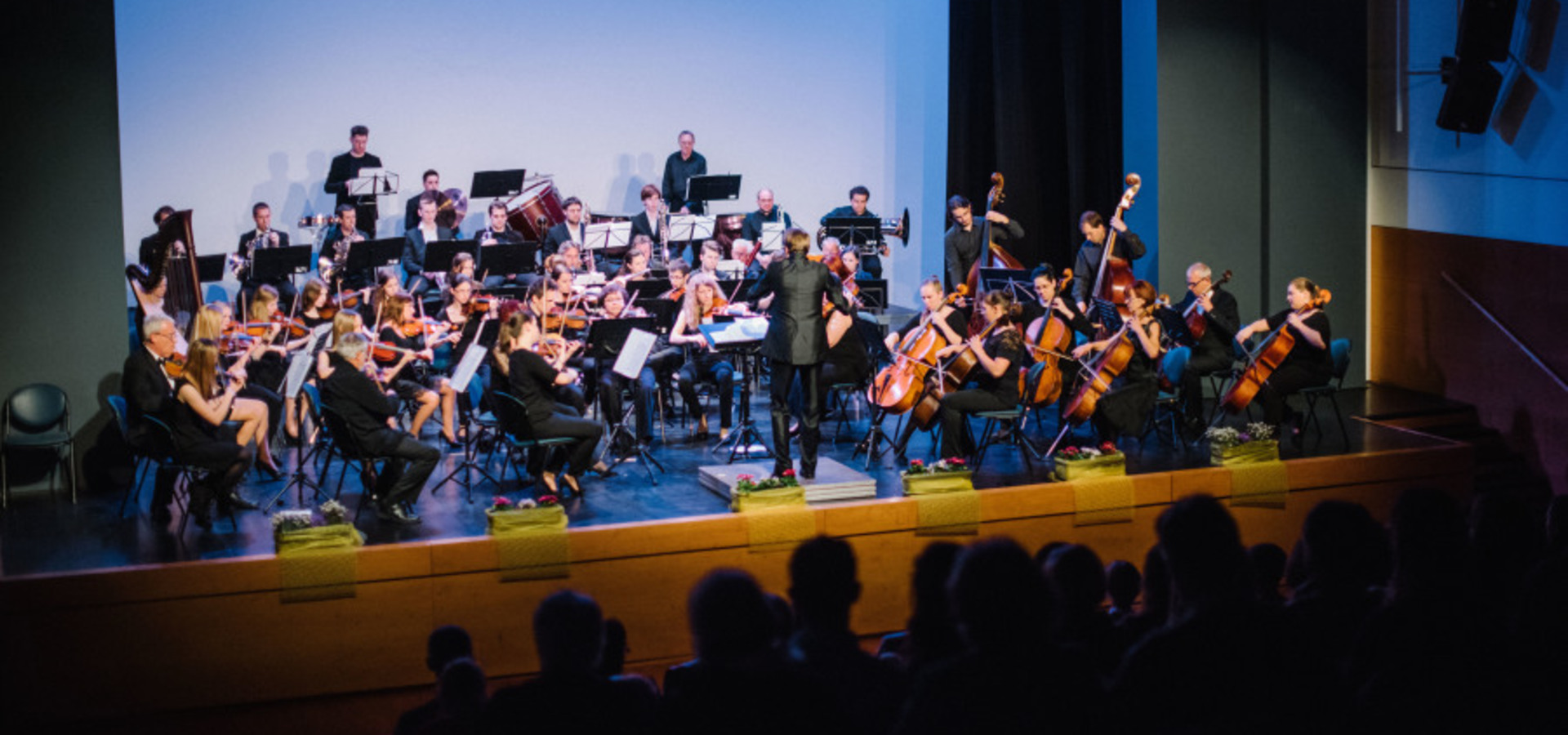 Simfonični orkester Domžale – Kamnik: Glasba v srcu, srce v glasbi – Tomaž Habe