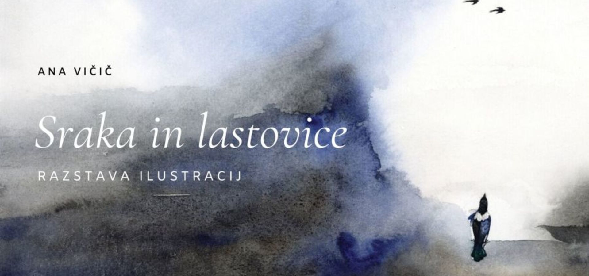 Ana Vičič: Sraka in lastovice