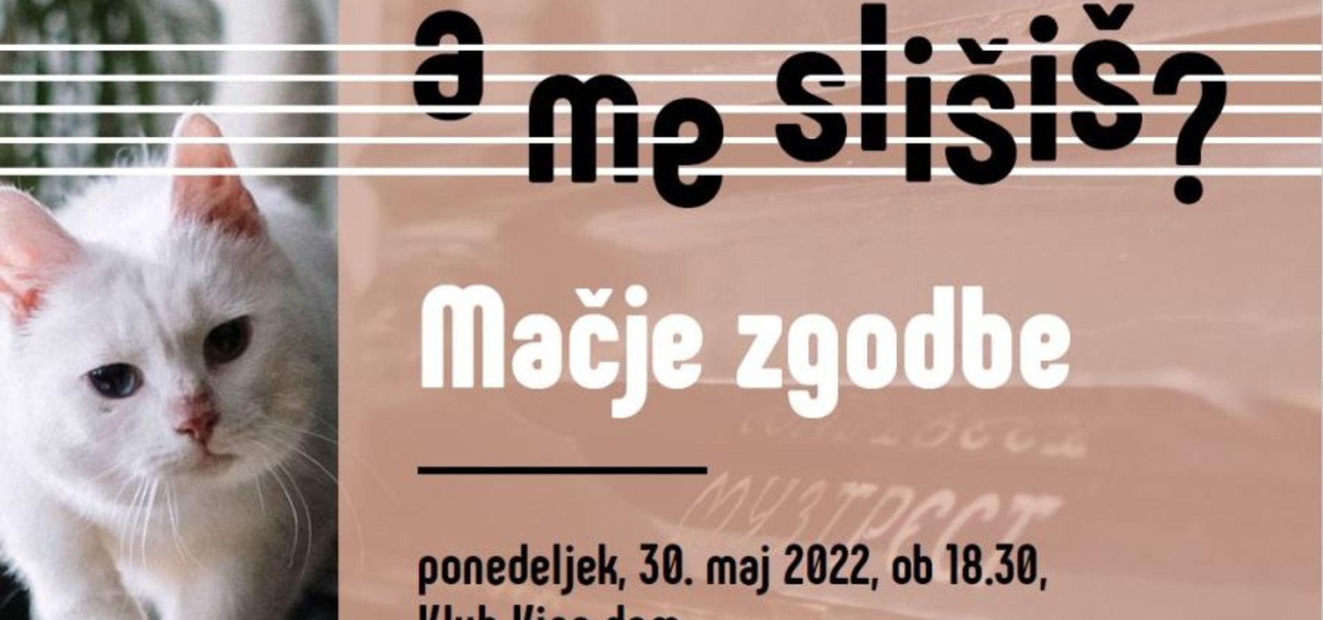 Glasbena šola Kamnik: A me slišiš? - Mačje zgodbe