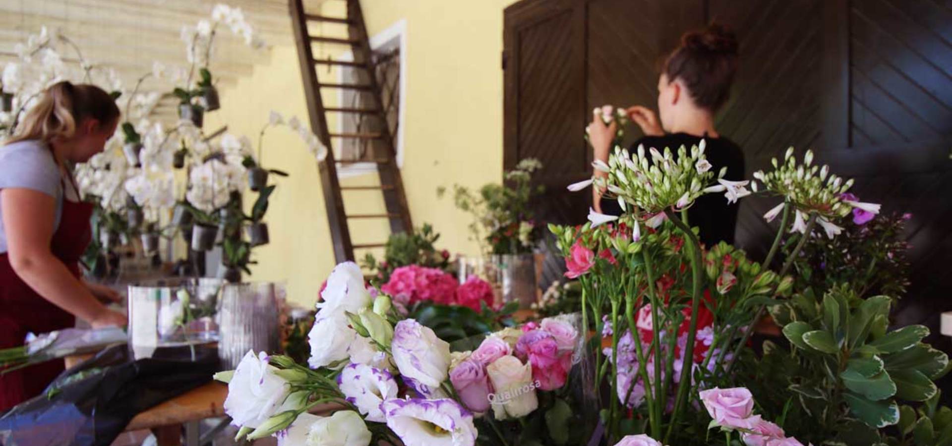 Junijski floristični dogodki v Arboretumu Volčji Potok