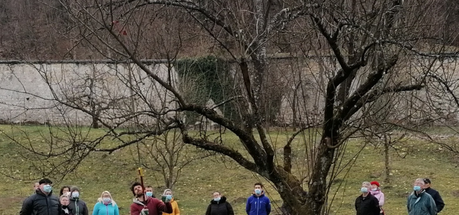 Prikaz izdelave cepičev sadnega drevja