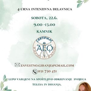 4-URNA AEQ DELAVNICA junij.jpg