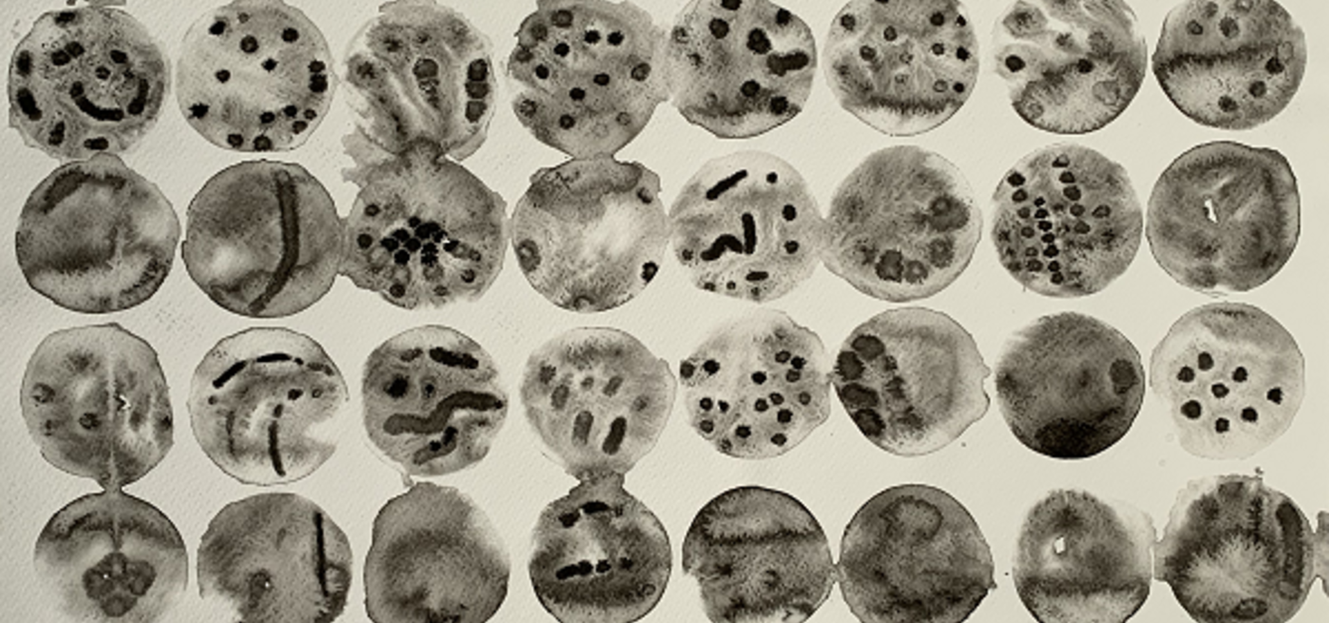 Odprtje razstave kamniške slikarke Jerce Šuštar