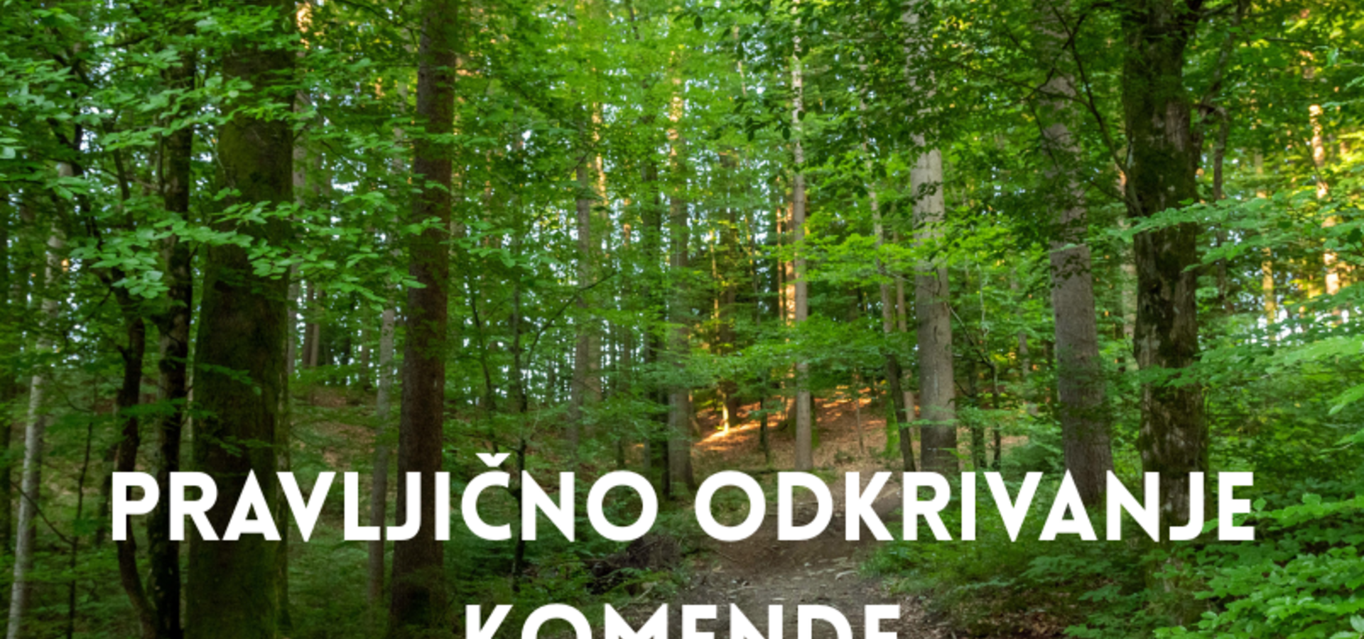 Pravljično odkrivanje Komende