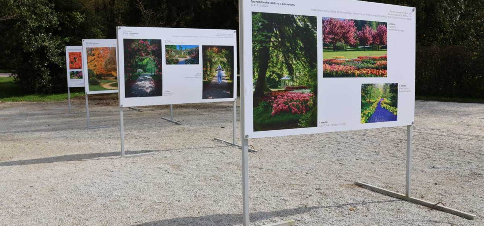 Najboljše fotografije foto natečajev v letu 2024