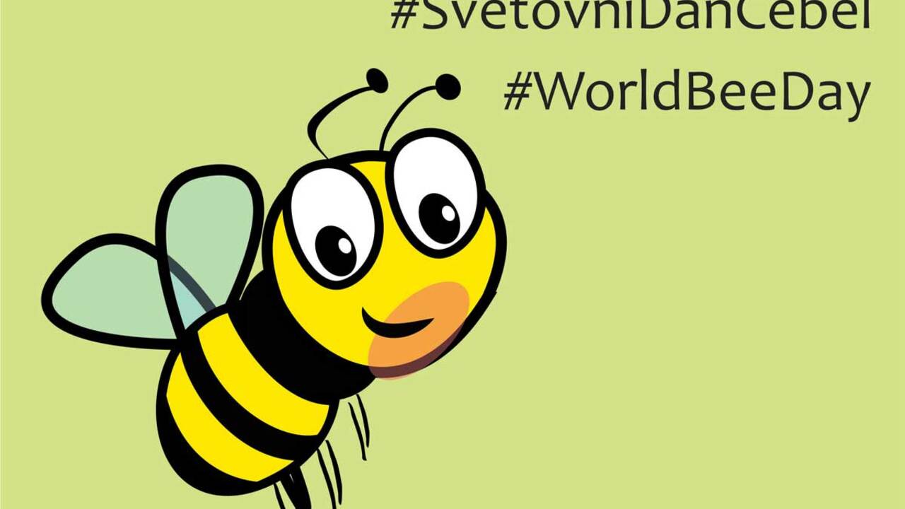 Dogajanje ob svetovnem dnevu čebel