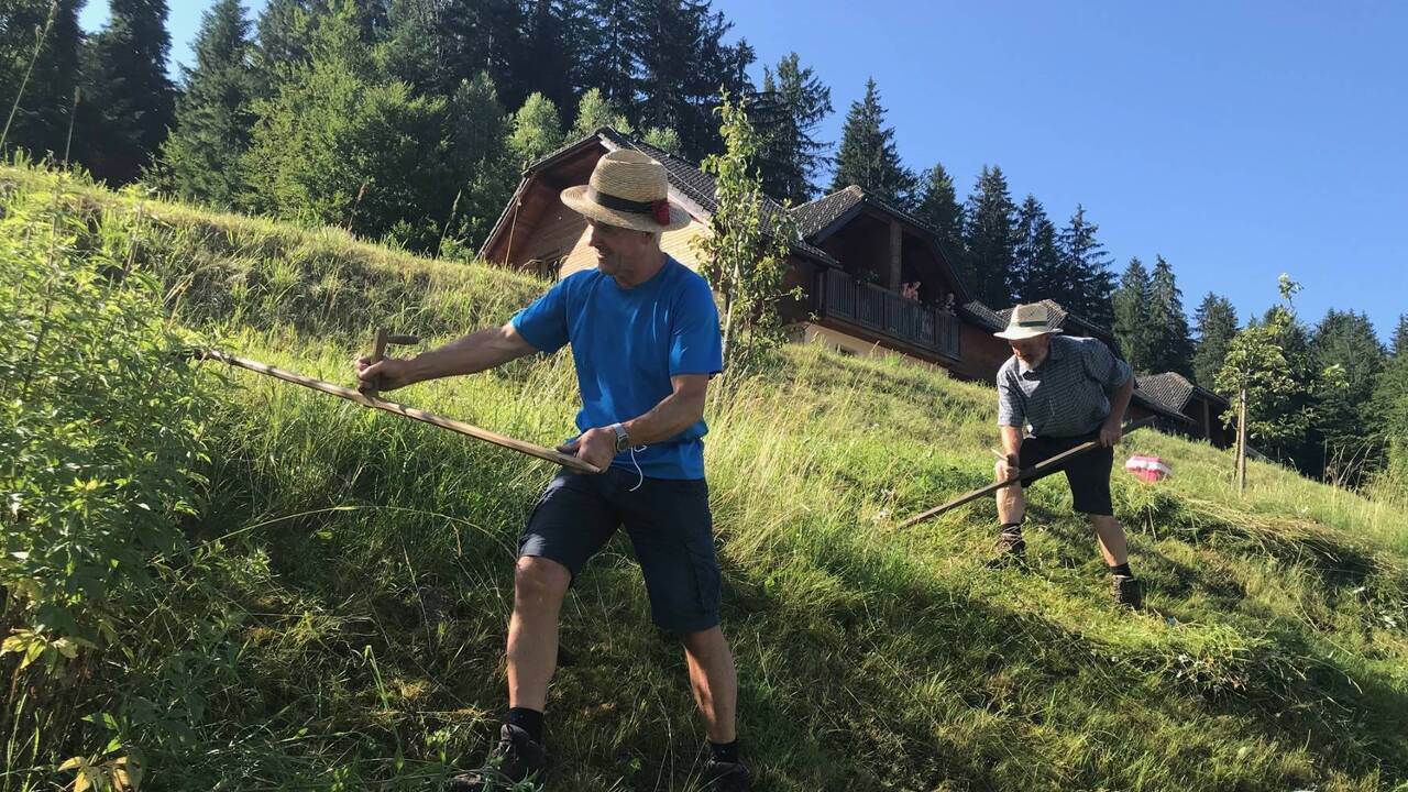 Košnja po starem,