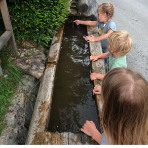 Druzinsko bosonogo Kneippovo dozivetje - Terme Snovik.jpg