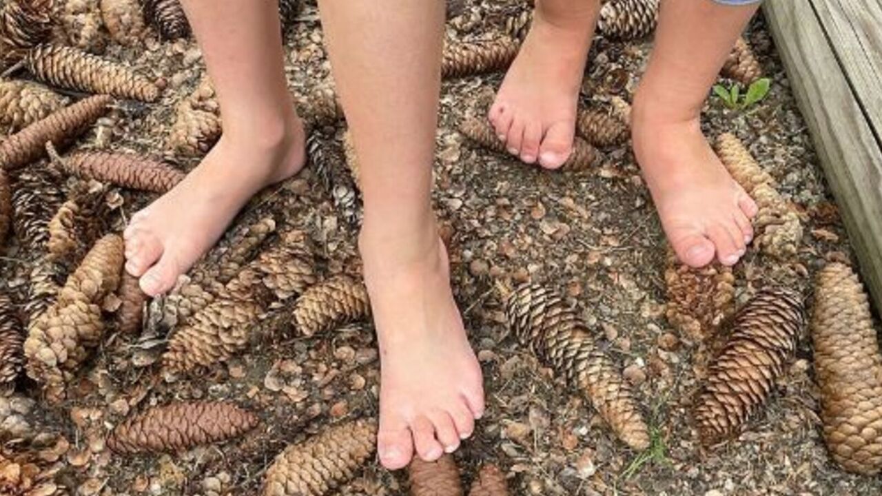 Družinsko bosonogo KNeippovo doživetje v Termah Snovik