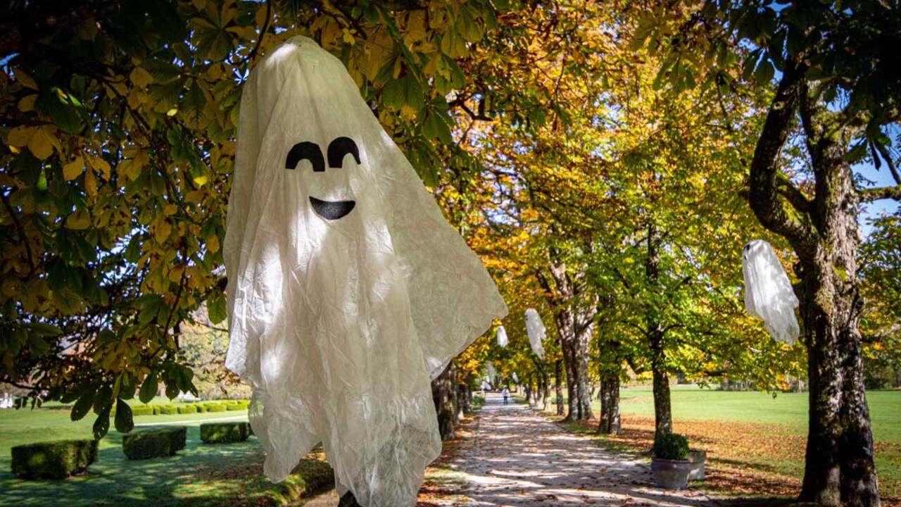 Začarani park