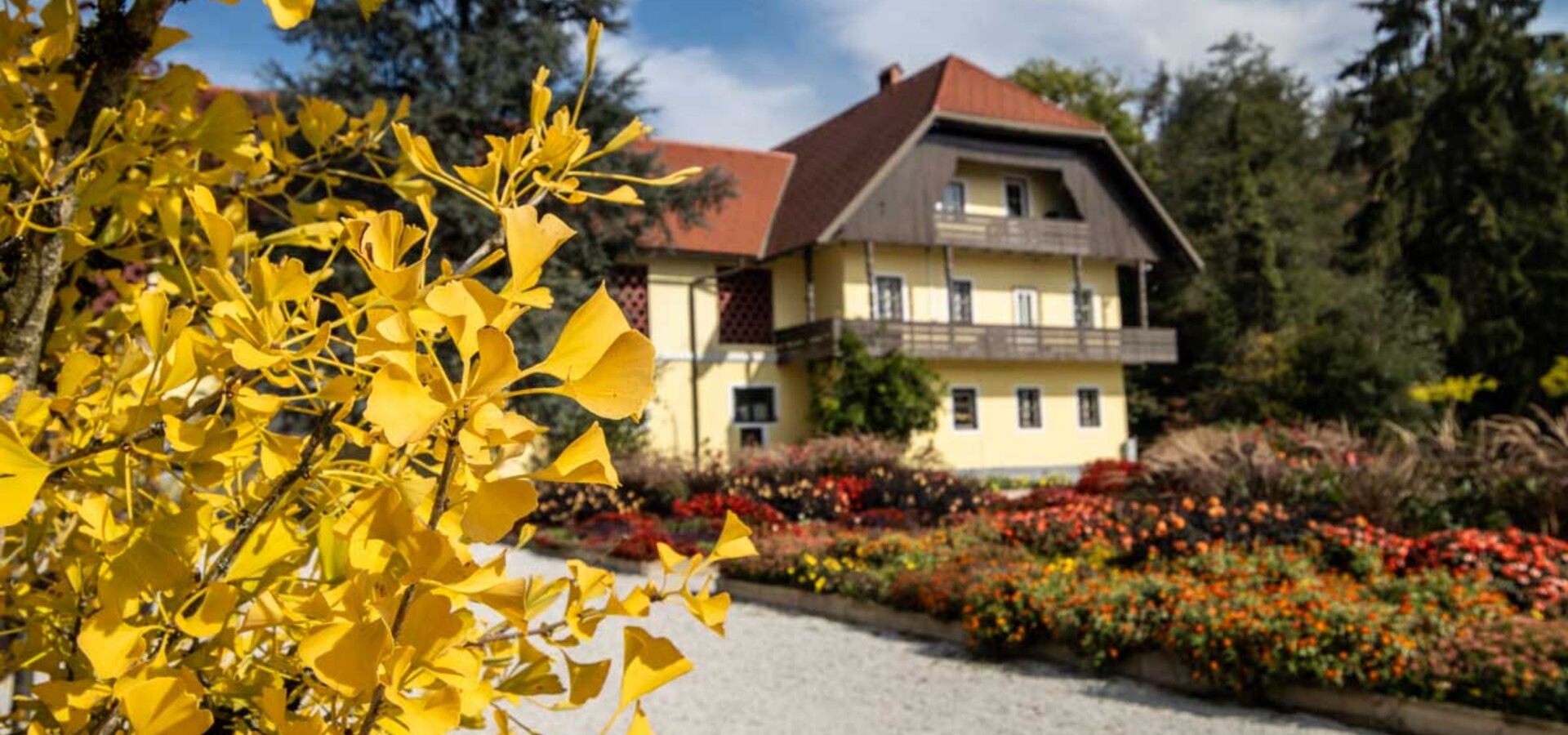 Fotografska delavnica Arhitektura v Arboretumu (Dnevi evropske kulturne dediščine)