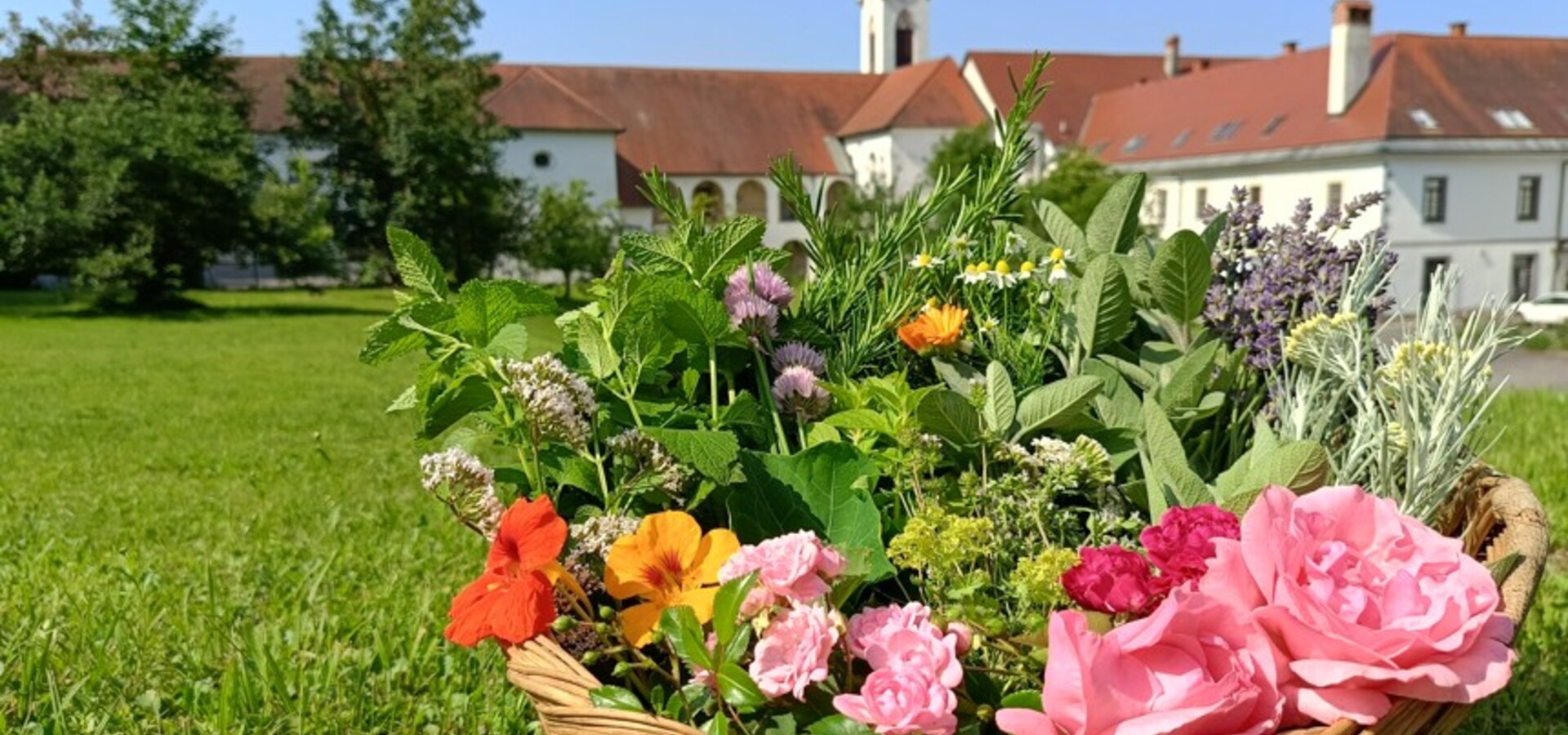 Obujanje zeliščarske dediščine, delavnica