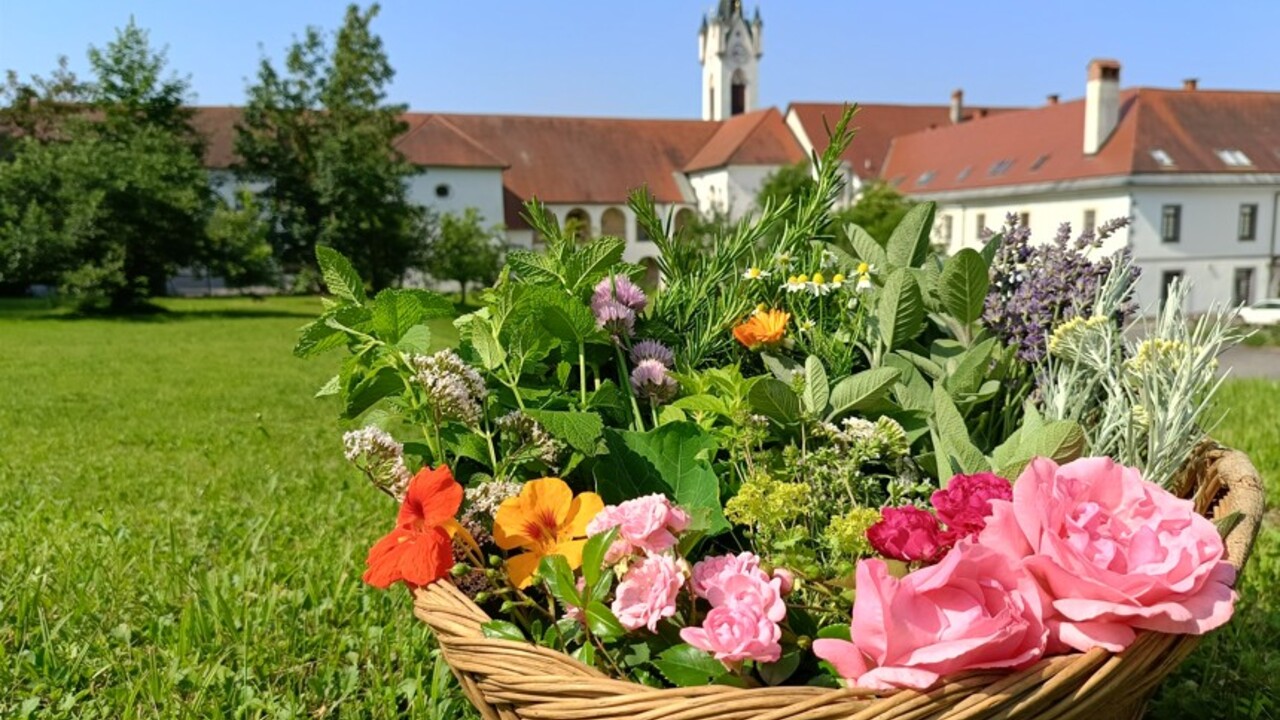 Obujanje zeliščarske dediščine, delavnica