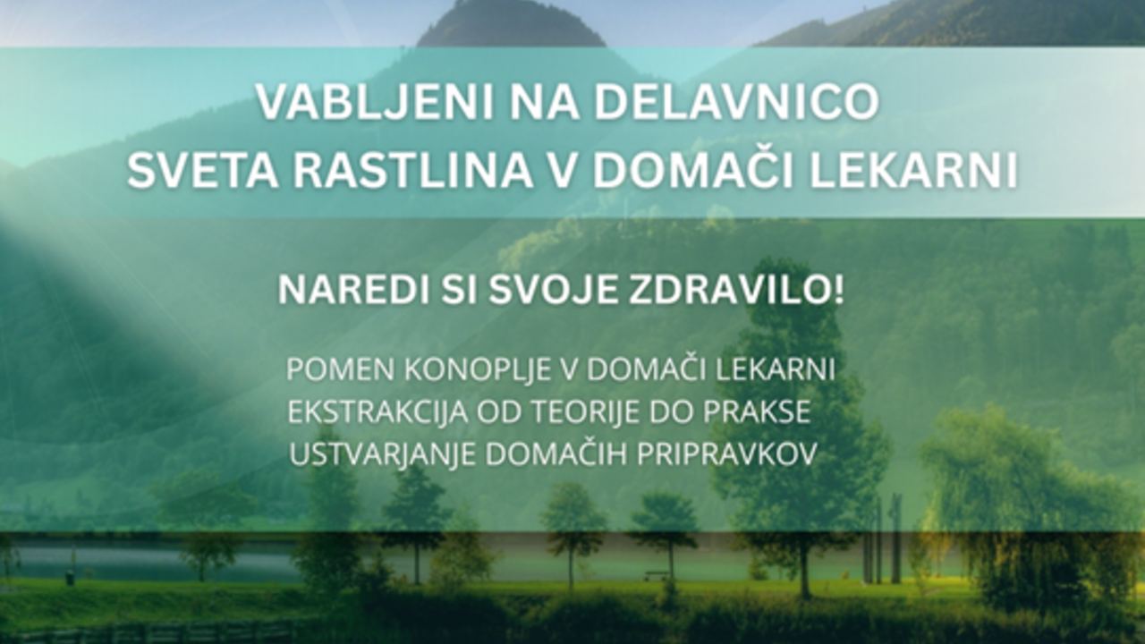 Konoplja v domači lekarni – naredi si svoje zdravilo, delavnica