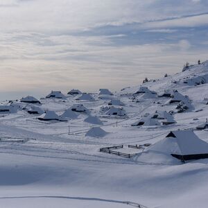 zima_3500px_grega eržen.jpg