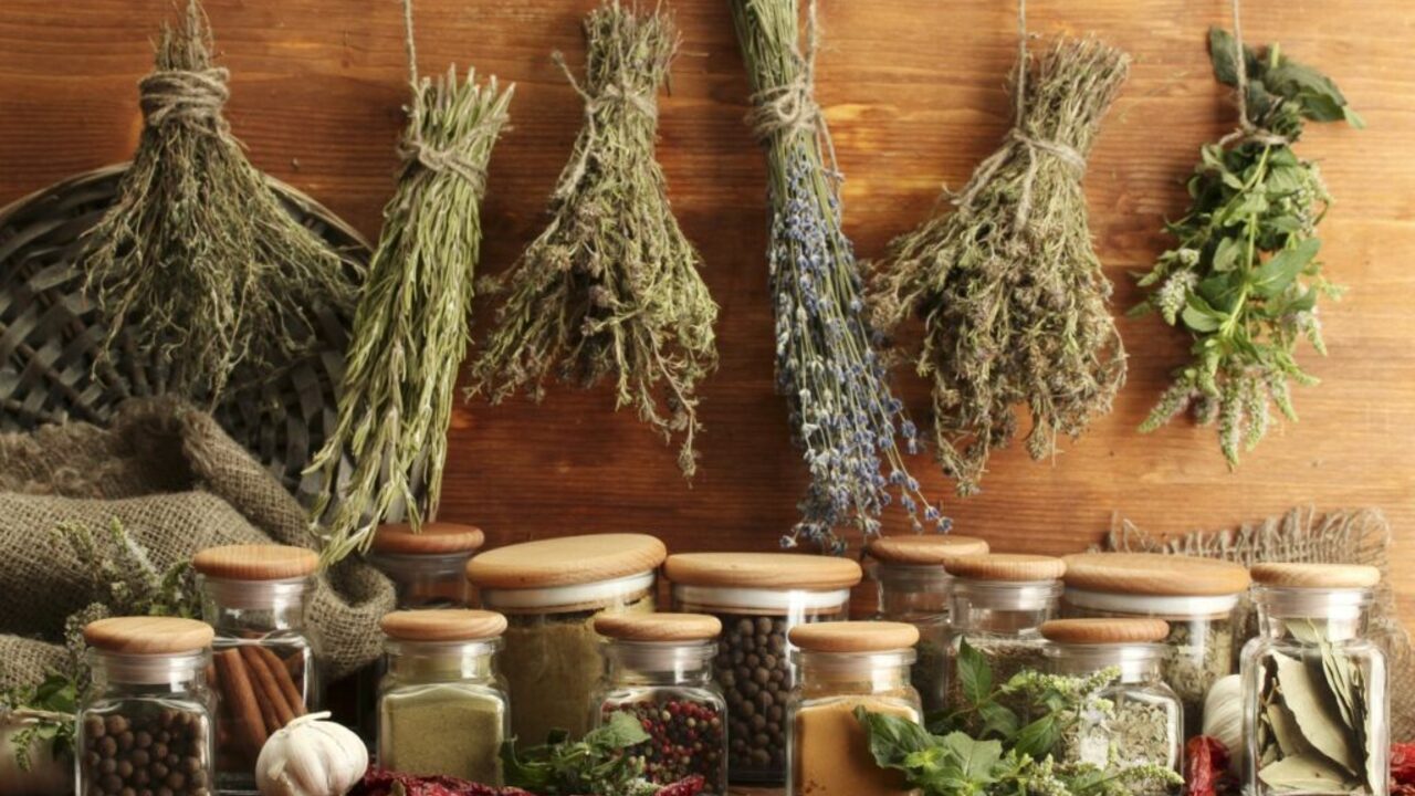 Zdrava kuhinja, delavnica