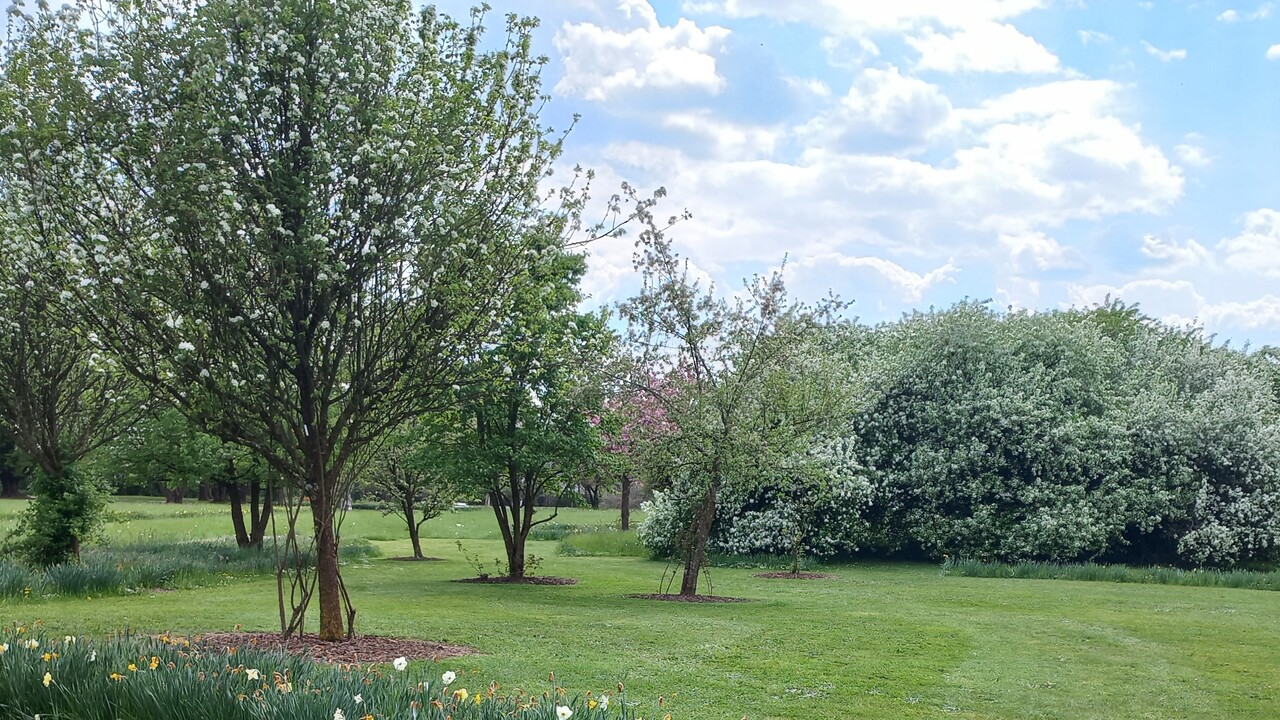 Zvočno-vokalna kopel na prostem