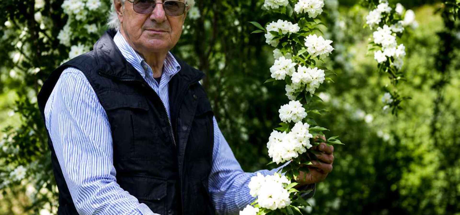 Vladimir Vremec: Med krajino in umetnostjo