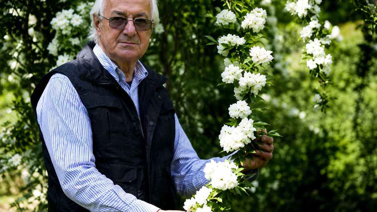 Vladimir Vremec: Med krajino in umetnostjo