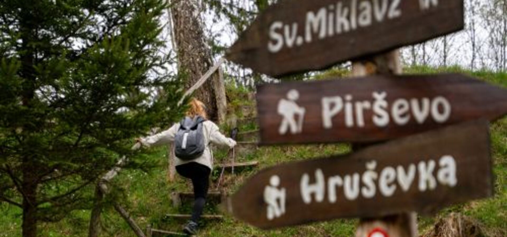 Pohod na Goro sv. Miklavža