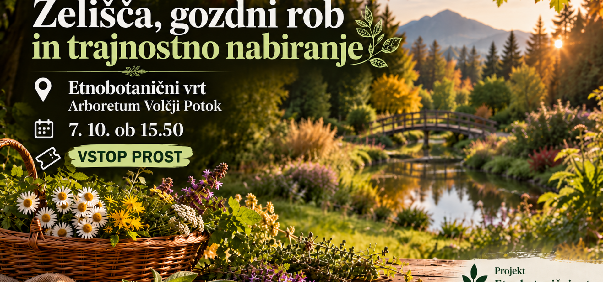 Zelišča, gozdni rob in trajnostno nabiranje v Etnobotaničnem vrtu Aroretuma Volčji potok