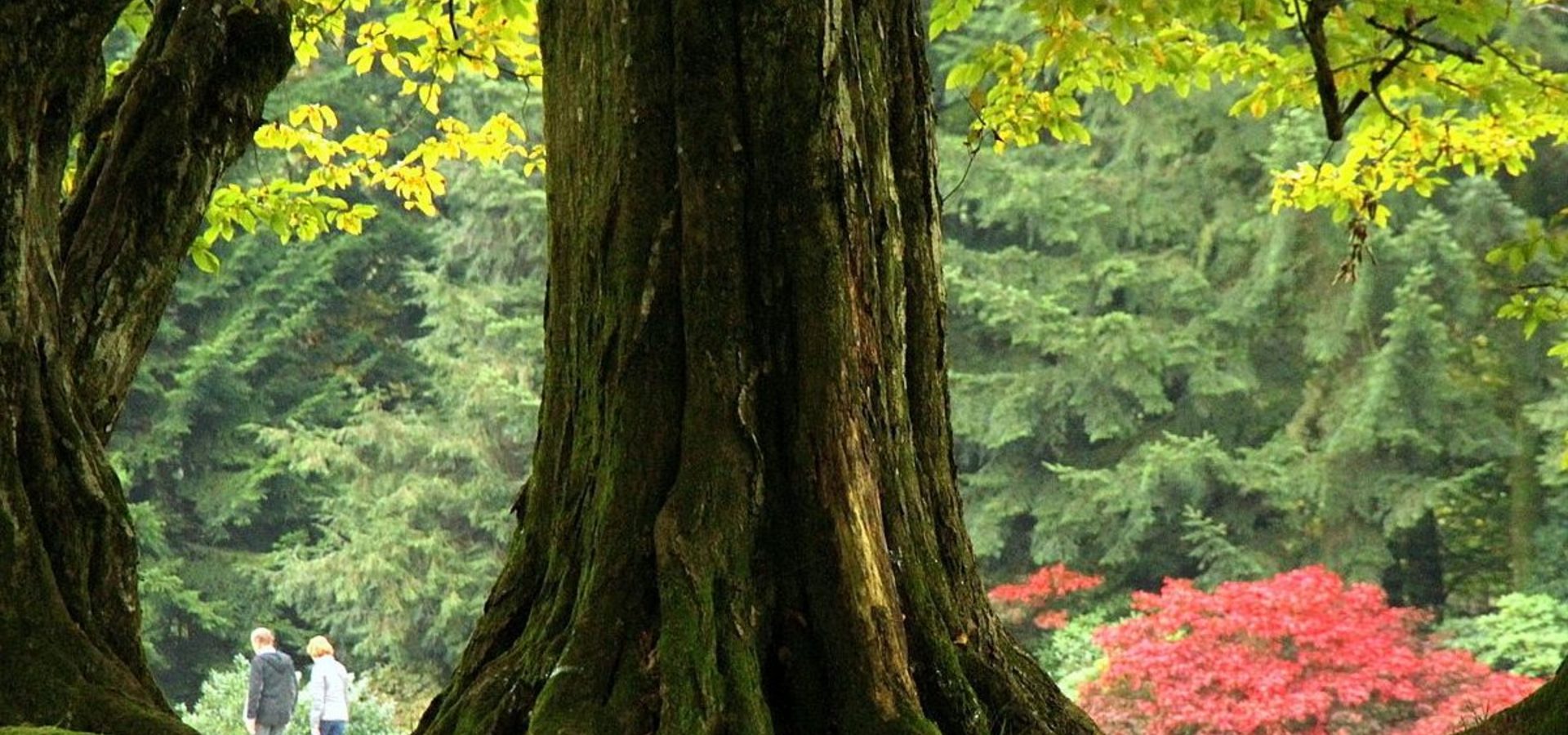 Fotografska delavnica – motivika Arboretuma